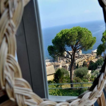 Villa San Prospero Камольи Экстерьер фото