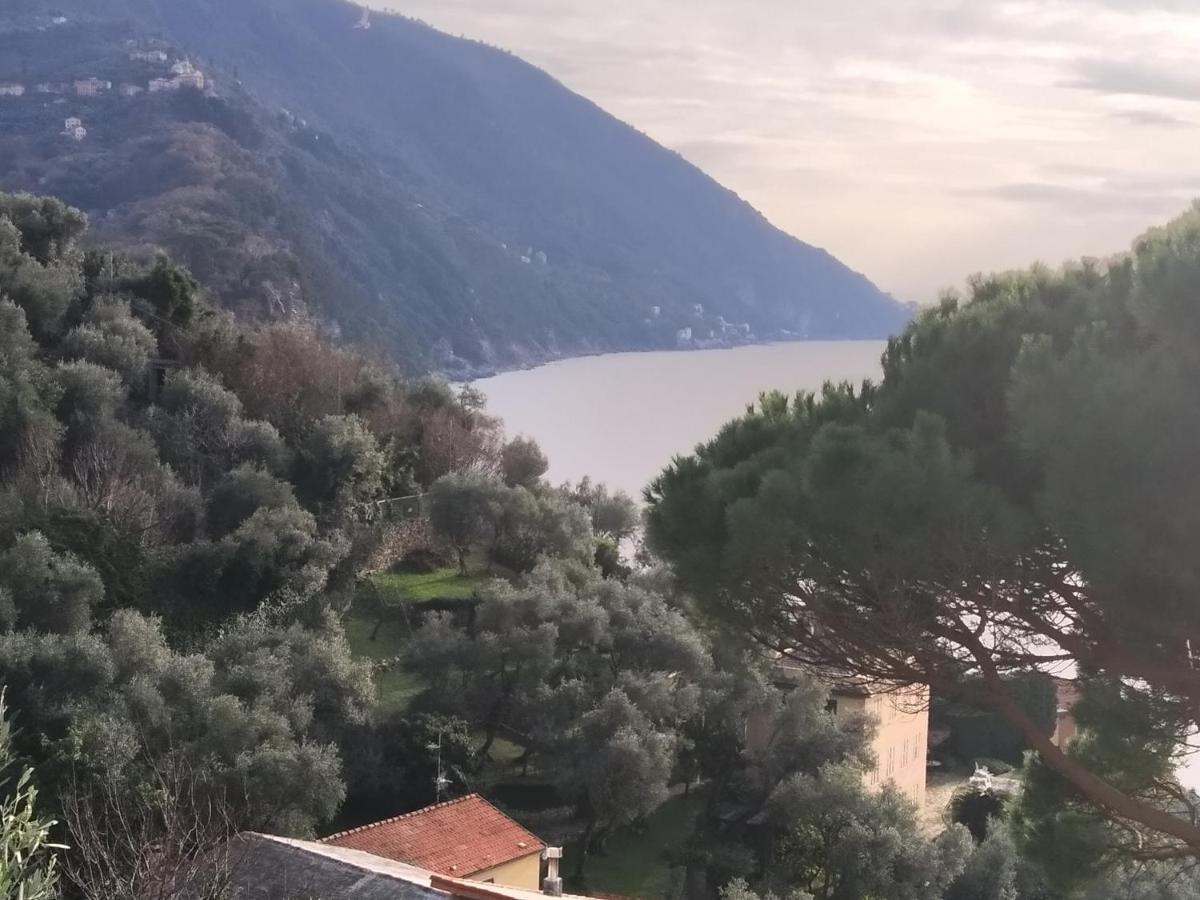 Villa San Prospero Камольи Экстерьер фото