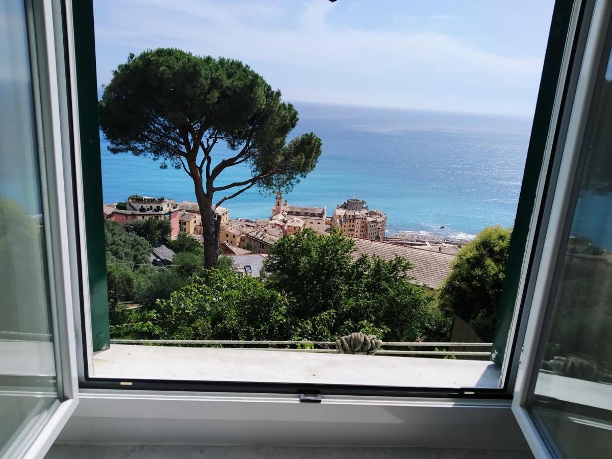 Villa San Prospero Камольи Экстерьер фото
