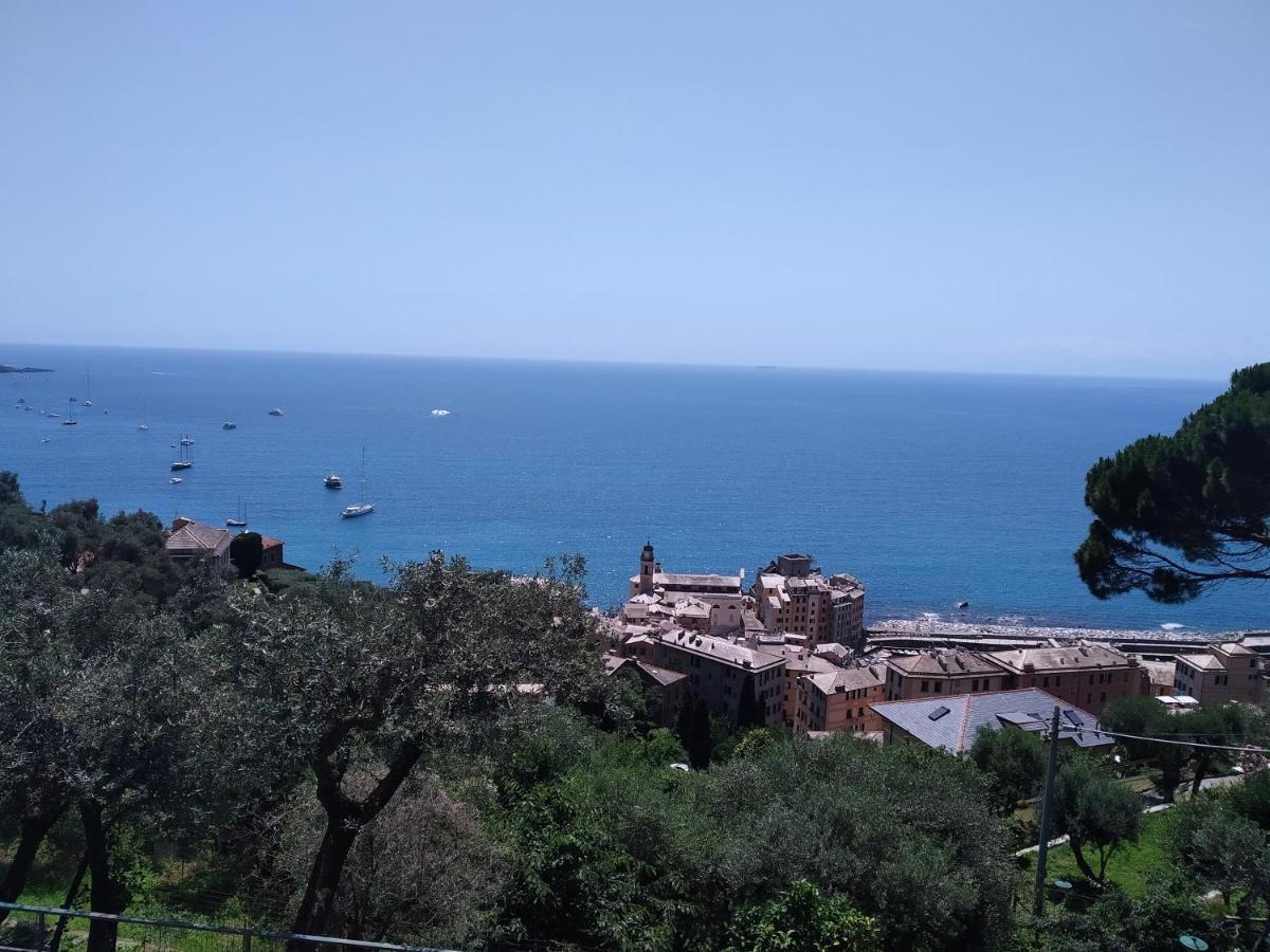 Villa San Prospero Камольи Экстерьер фото