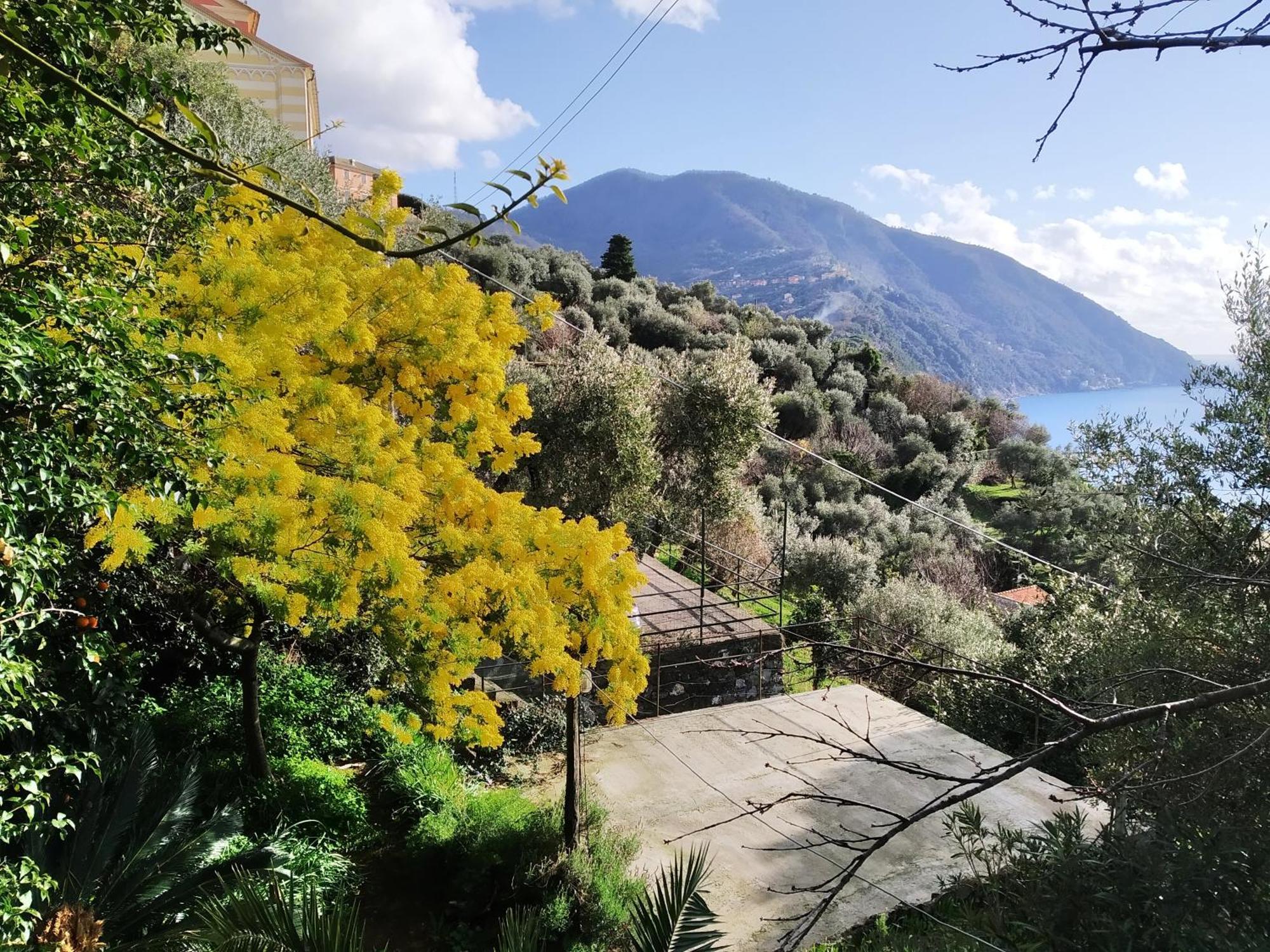 Villa San Prospero Камольи Номер фото
