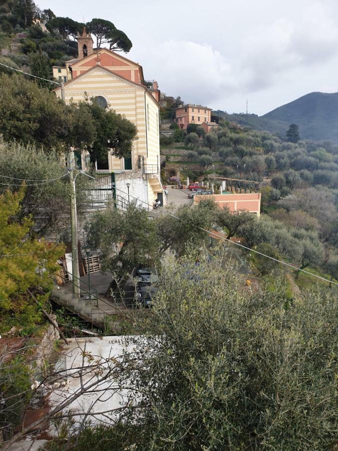 Villa San Prospero Камольи Экстерьер фото