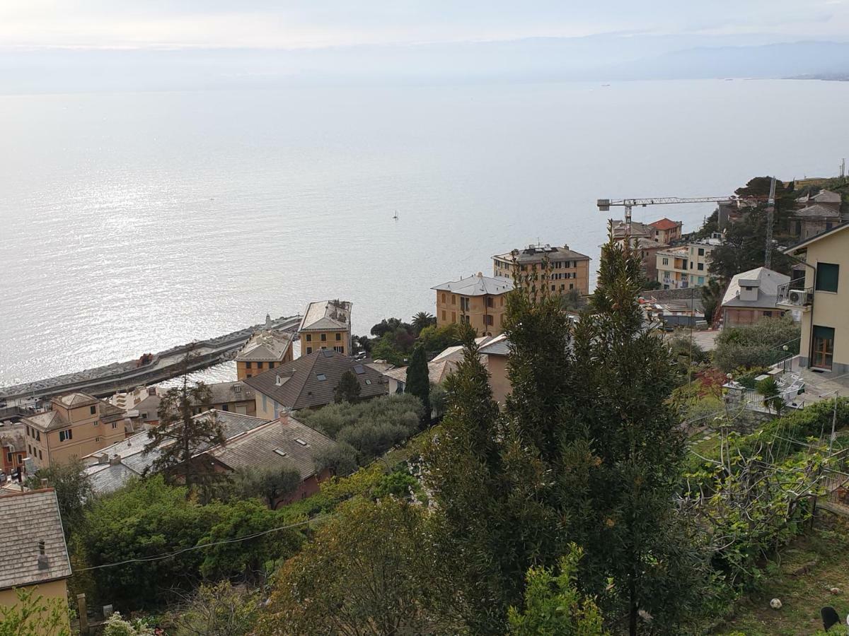 Villa San Prospero Камольи Экстерьер фото