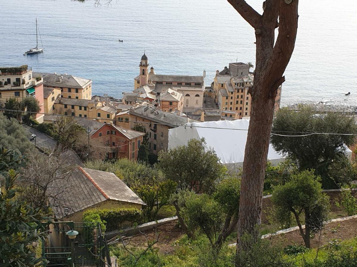 Villa San Prospero Камольи Экстерьер фото