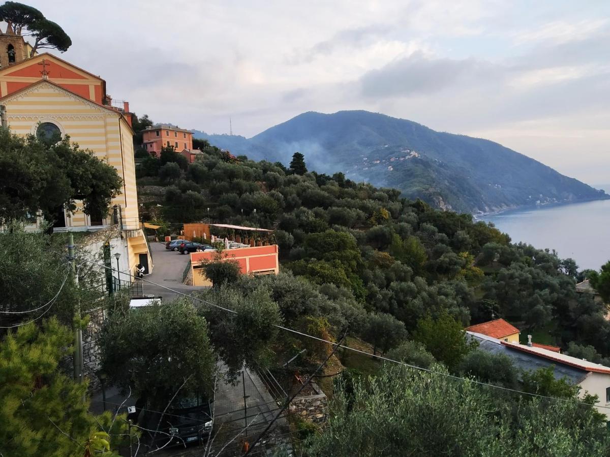Villa San Prospero Камольи Экстерьер фото